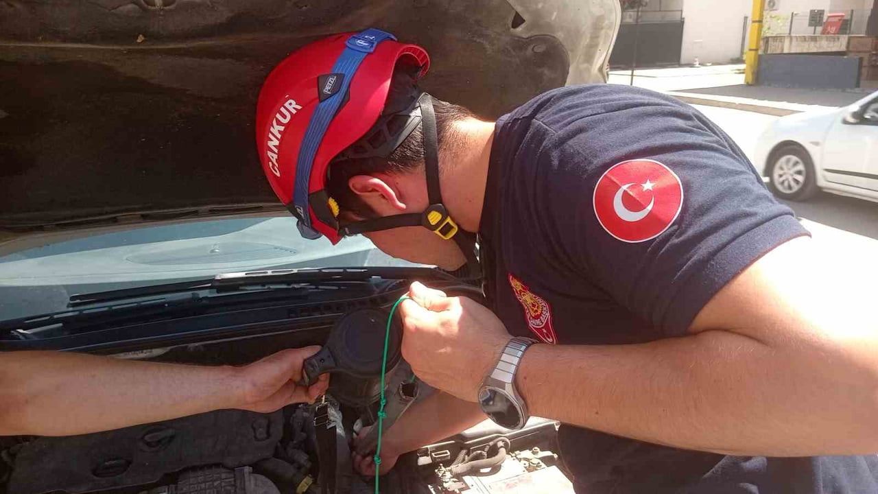 Kozan'da motor bölümüne giren yavru kedi itfaiye tarafından kurtarıldı