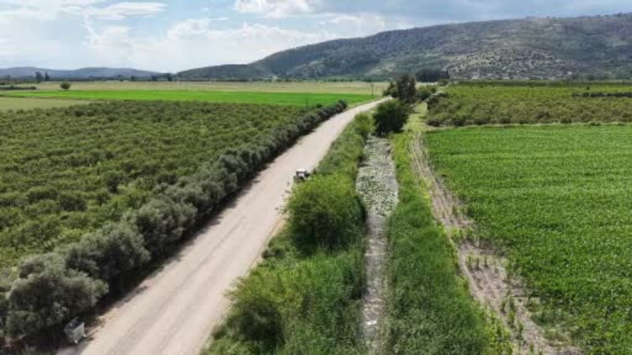 Kozan'da sarı nilüferler su yüzeyini kapladı