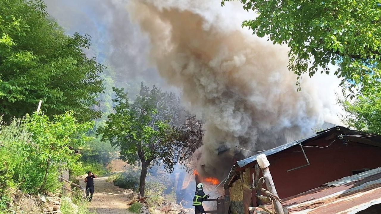 Kozan'da yayla evindeki yangın ormana sıçradı; iki ev kullanılamaz hale geldi, müdahale sürüyor