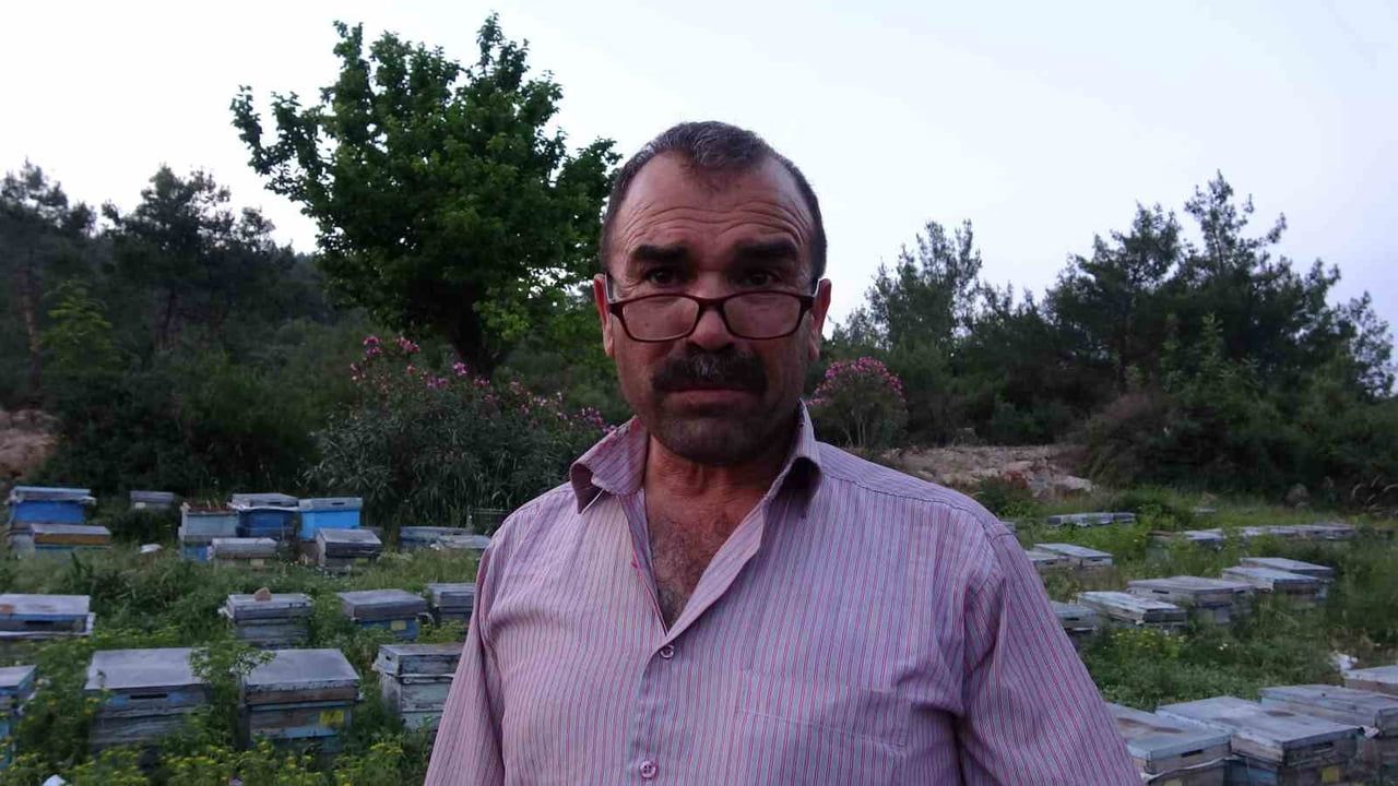 Kozan'dan Yahyalı'ya: Keven ve kekik balı için yayla yolculuğu başladı