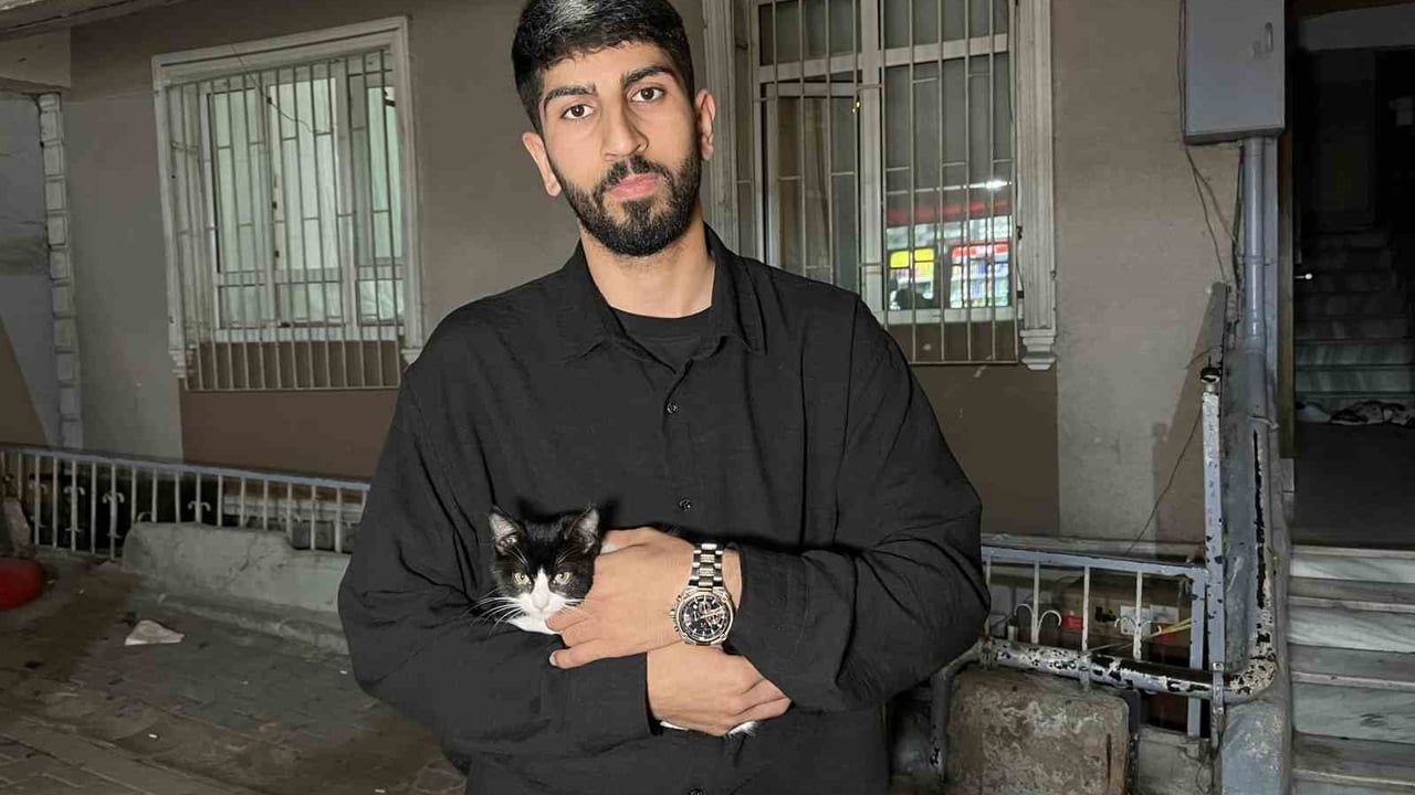 Küçükçekmece'de 7. kattan düşen kedi mahallelinin şemsiyesiyle kurtarıldı