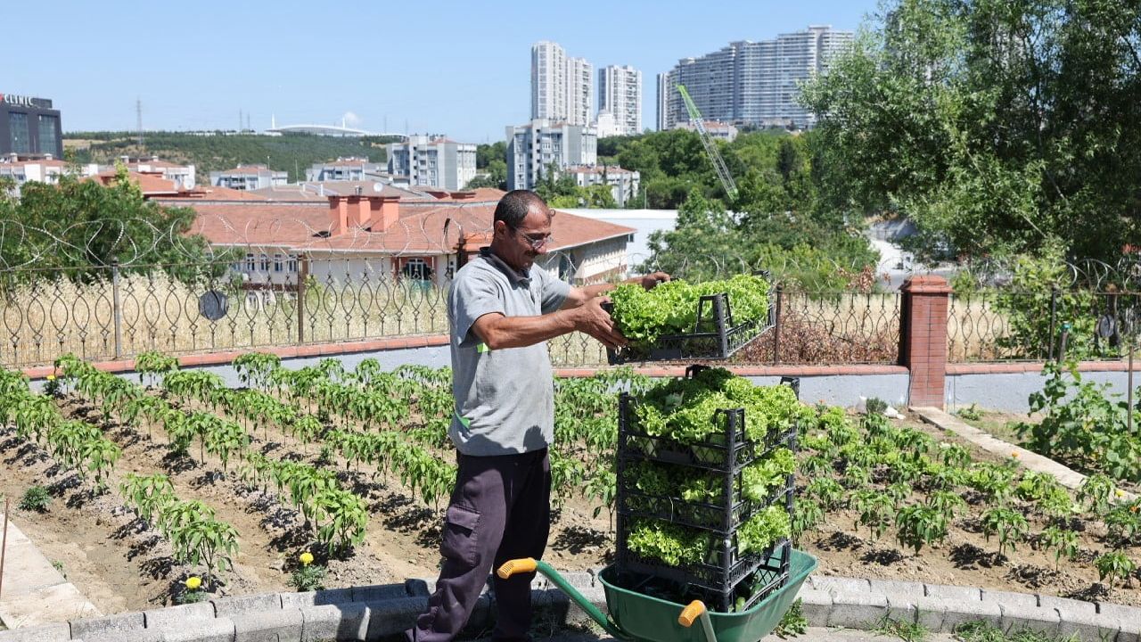 Küçükçekmece'de Hobi Bahçesi ürünleri Halk Marketlerde ihtiyaç sahiplerine ulaşıyor