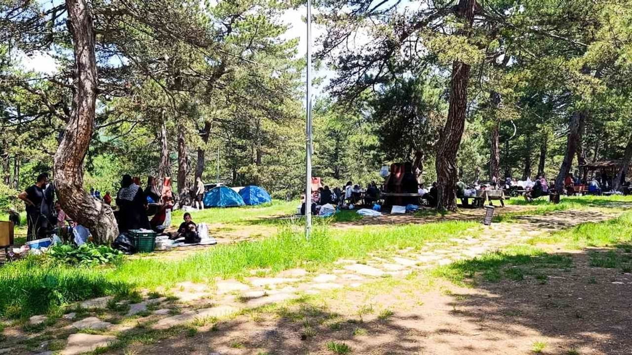 Küçükelmalı Tabiat Parkı hafta sonları yüzlerce günübirlik ziyaretçiyi ağırlıyor