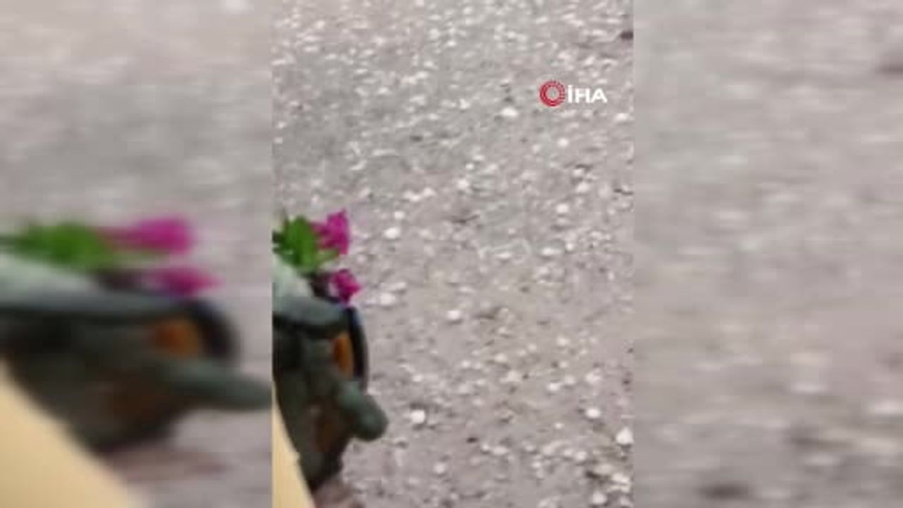Kumluca'da aniden bastıran dolu seralara ve meyve bahçelerine zarar verdi