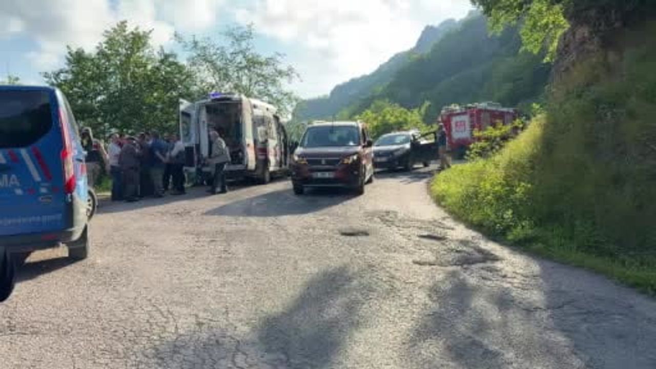 Kumru'da yolcu minibüsü uçuruma yuvarlandı: 9 kişi yaralandı