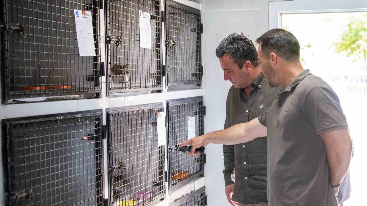 Kuşadası’nda Dünya Çevre Günü’nde Evcil Hayvan Bakım ve Rehabilitasyon Merkezi'ndeki Yenilikler İncelendi