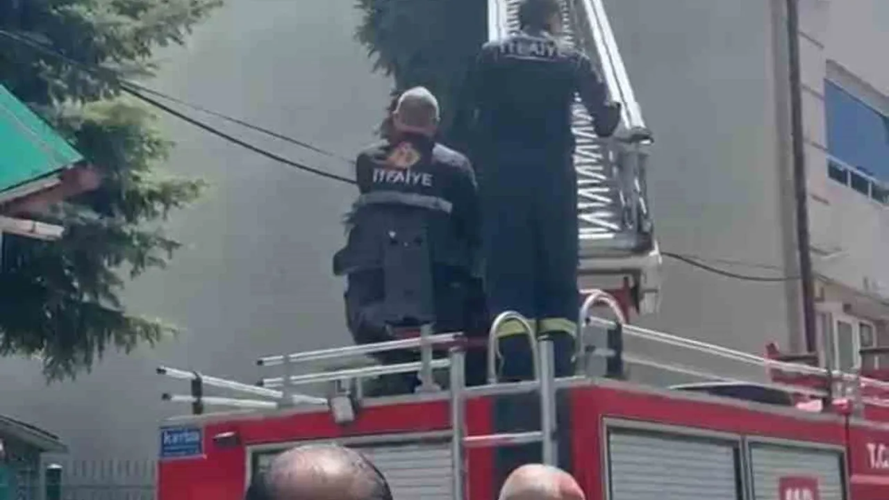 Kütahya'da ağaca takılan serçe itfaiye ekiplerince kurtarıldı