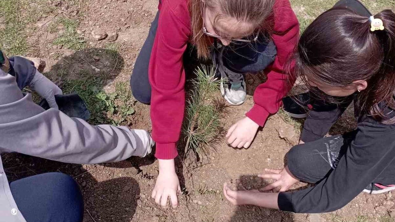 Kütahya’da ÇEDES Projesiyle Okullarda Fidan Dikim Seferberliği