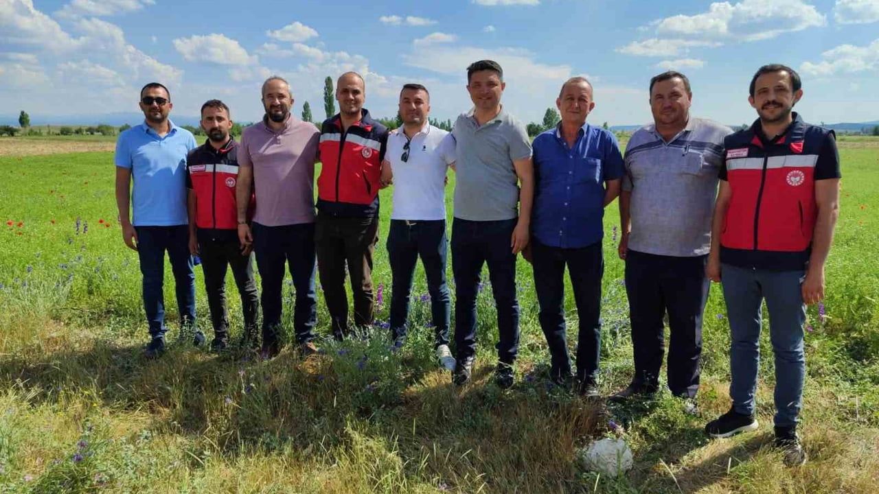 Kütahya’da çörek otu üretimi yakından takip ediliyor