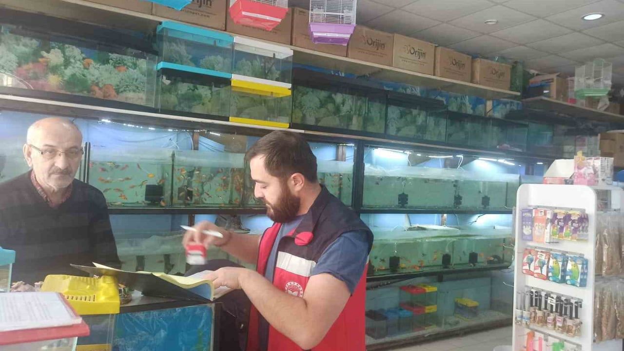 Kütahya'da ev hayvanı satış yerlerinde 5996 sayılı kanun kapsamında denetim