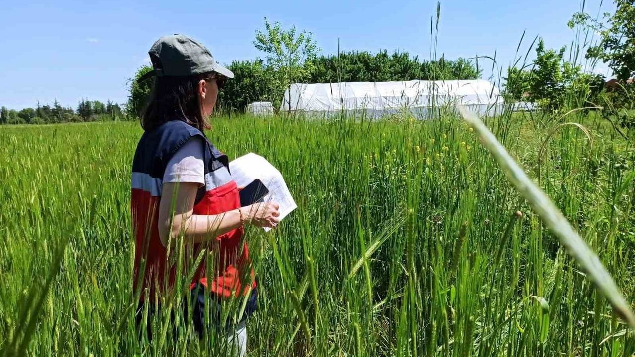 Kütahya'da kapalı ortam üretim sistemleri denetimleri sürüyor