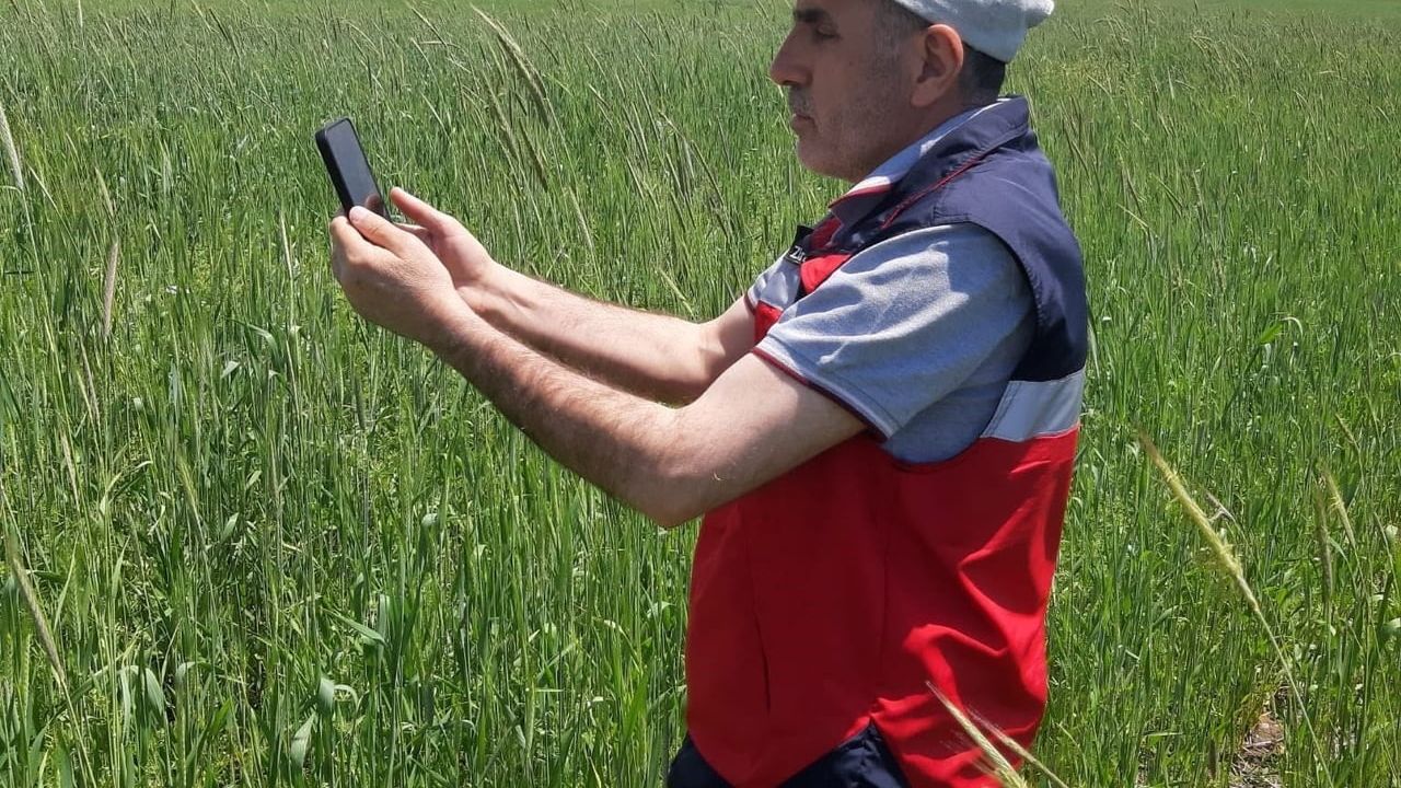 Kütahya’da Referans Parsel Çalışmaları Kapsamında Doğarslan Köyü’nde Arazi ve Ürün Kontrolleri