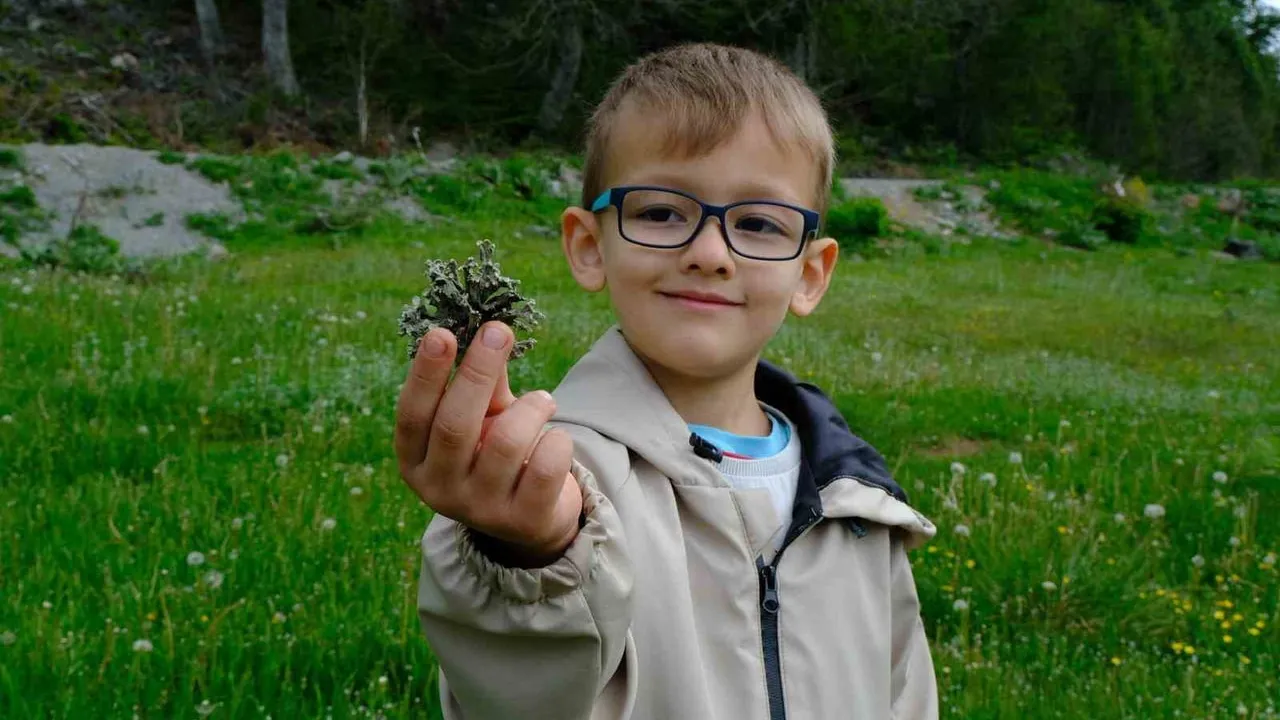 Kuzuyayla’da 'Tür Say' etkinliğinde 109 tür kaydedildi