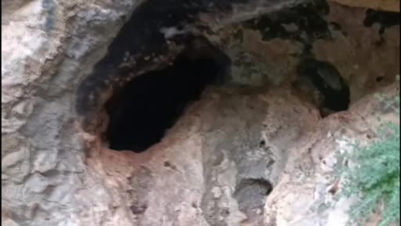 Mağarada binlerce arının bal mesaisi kaydedildi