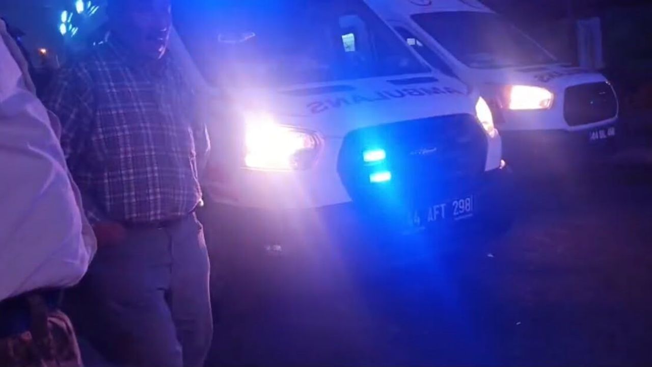 Malatya’da akrabalar arasında dut ağacı kavgası: 1’i çocuk 3 yaralı