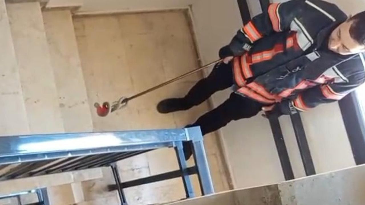Malatya'da apartmana giren bir metreden uzun yılan itfaiye tarafından yakalandı