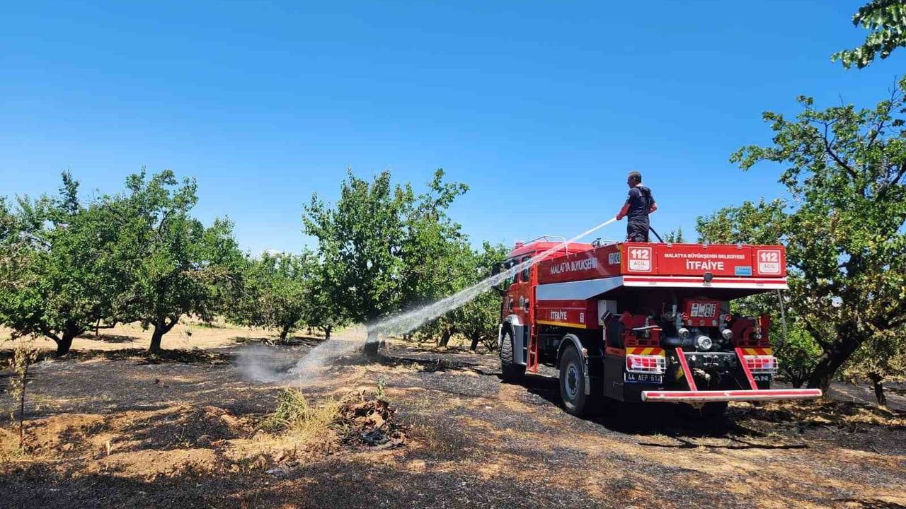 Malatya'da bahçe ve orman yangınlarına müdahale