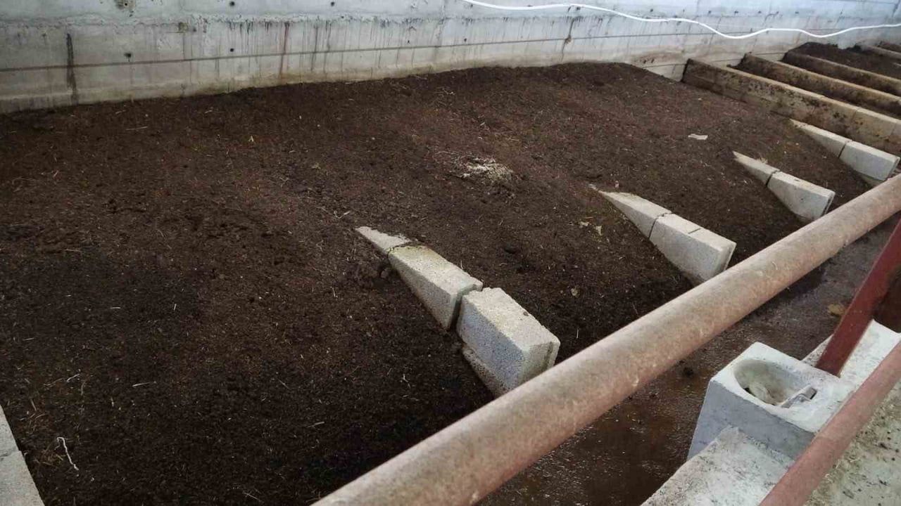 Malatya'da bahçesinde ürettiği solucan gübresi ek gelir kaynağına dönüştü