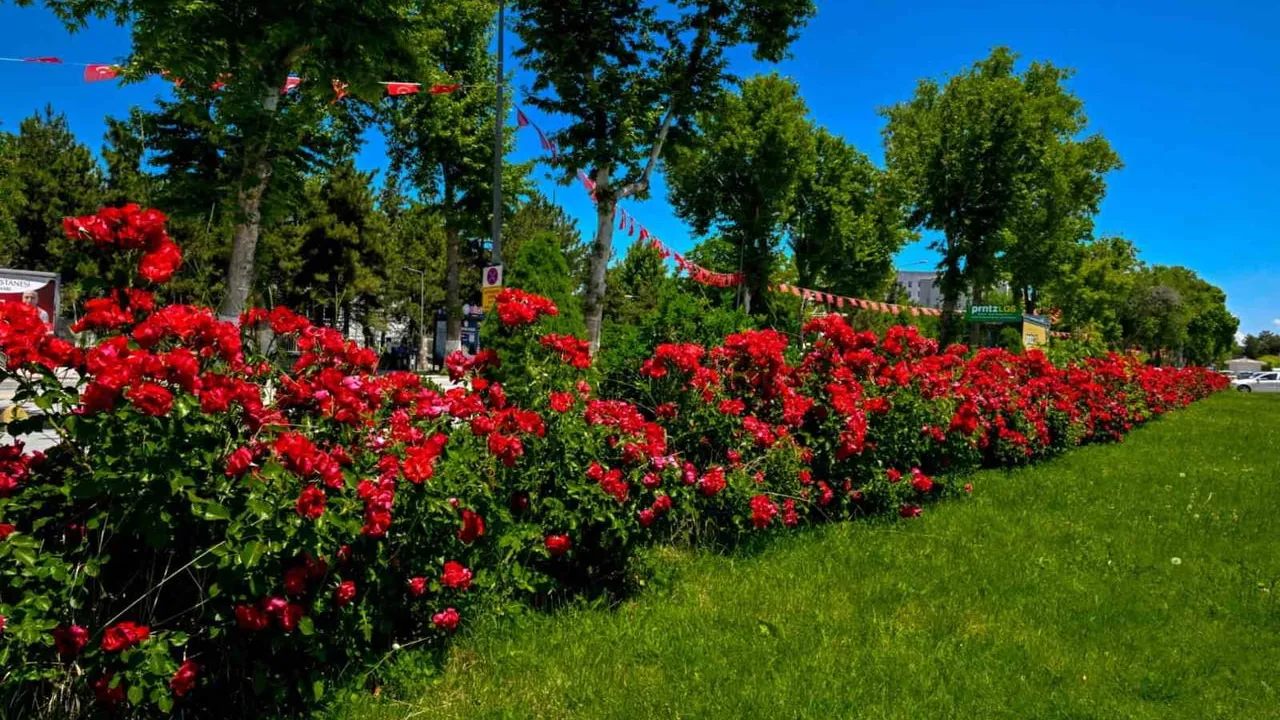Malatya’da park ve kavşaklar çiçeklerle süslendi