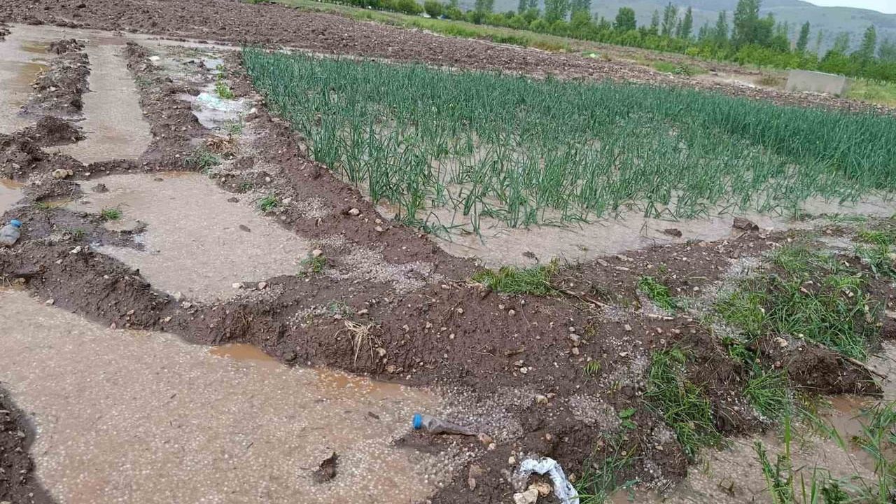 Malatya'da sağanak ve dolu: Doğanşehir'de tarım arazileri su altında kaldı