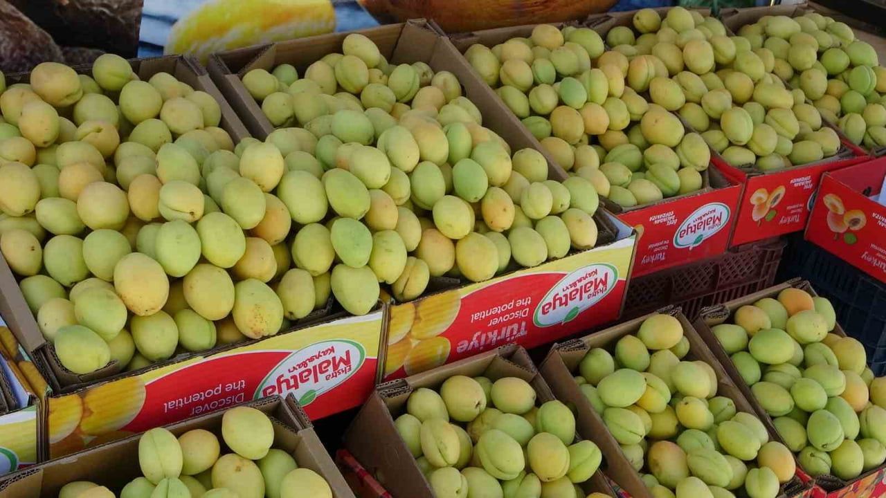 Malatya’da yaş kayısı tezgahlarda yerini aldı