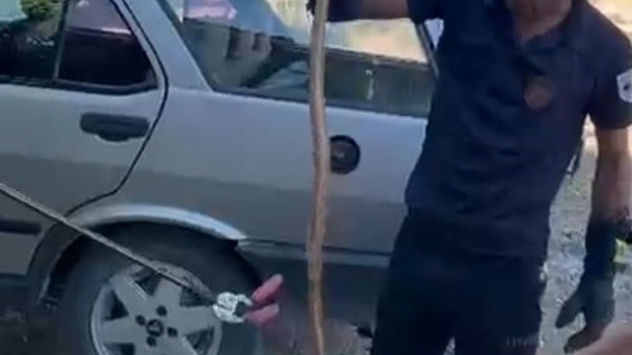 Malatya'nın Yazıhan ilçesinde park halindeki otomobile giren yılan itfaiye tarafından çıkarıldı