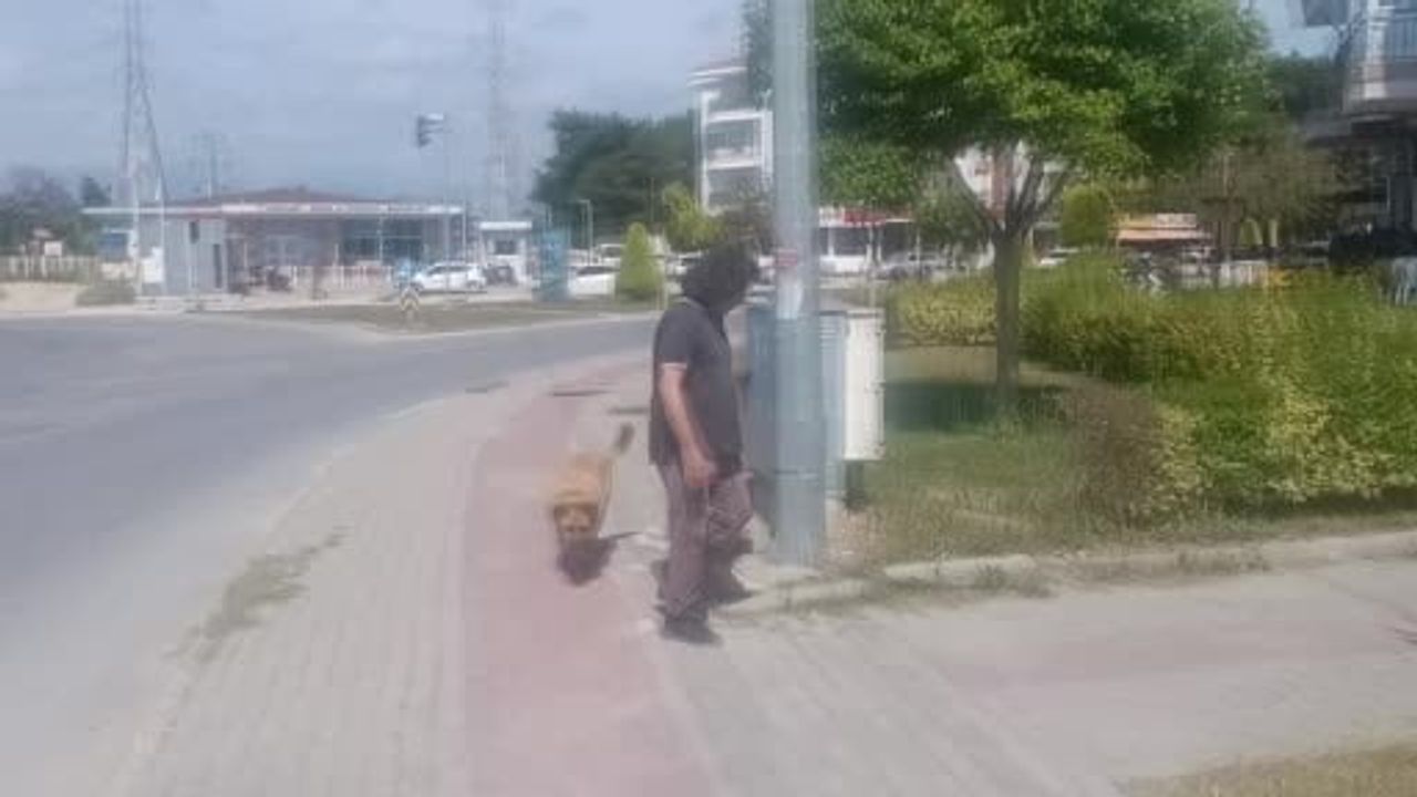 Manavgat'ta motosiklet tamircisi 13 yıldır görme engelli köpeğine evlat gibi bakıyor