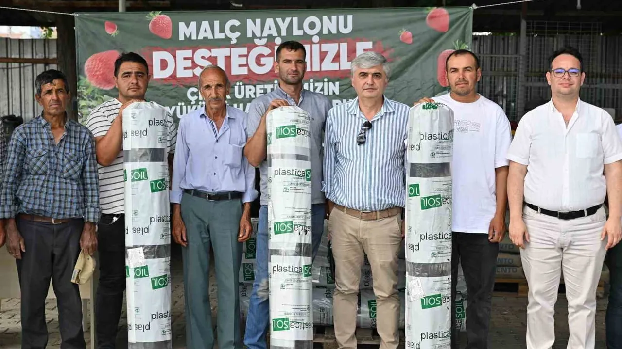 Manisa Büyükşehir'den çilek üreticilerine yüzde 75 malç naylonu desteği