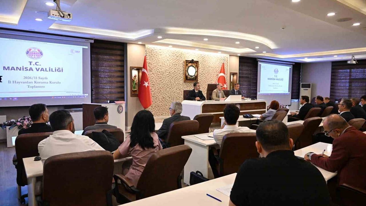 Manisa'da 11 bin 152 sahipsiz hayvan kısırlaştırıldı