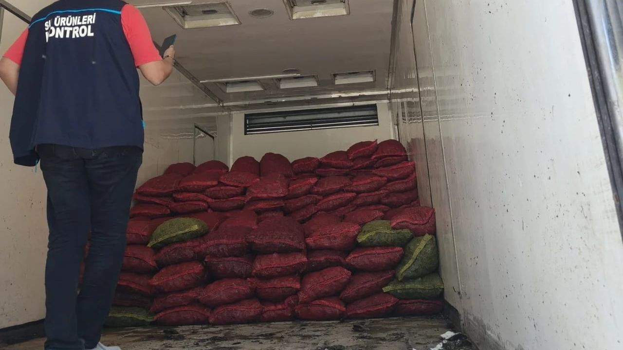 Manisa'da menşei belirsiz midyeler imha edildi