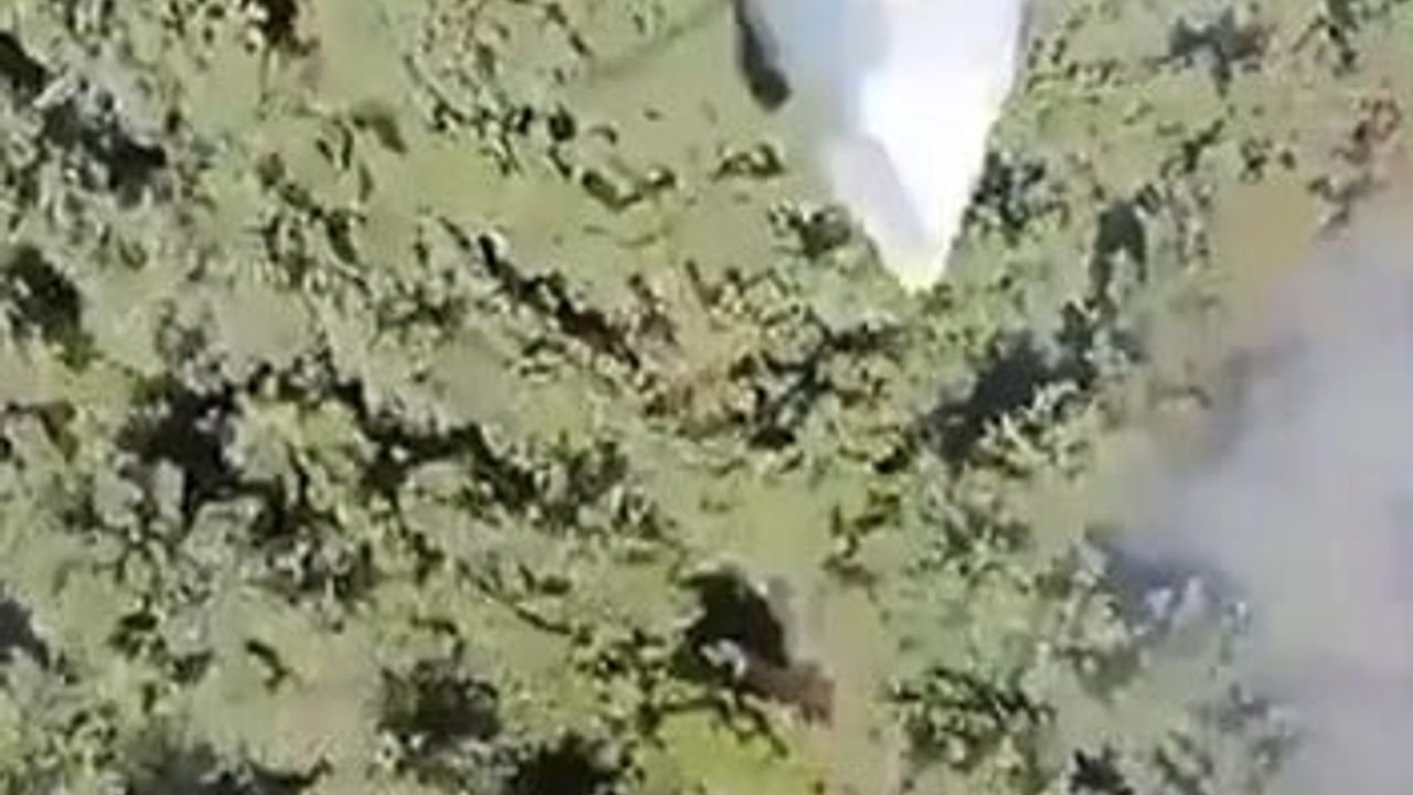 Manisa’daki orman yangını kontrol altına alındı