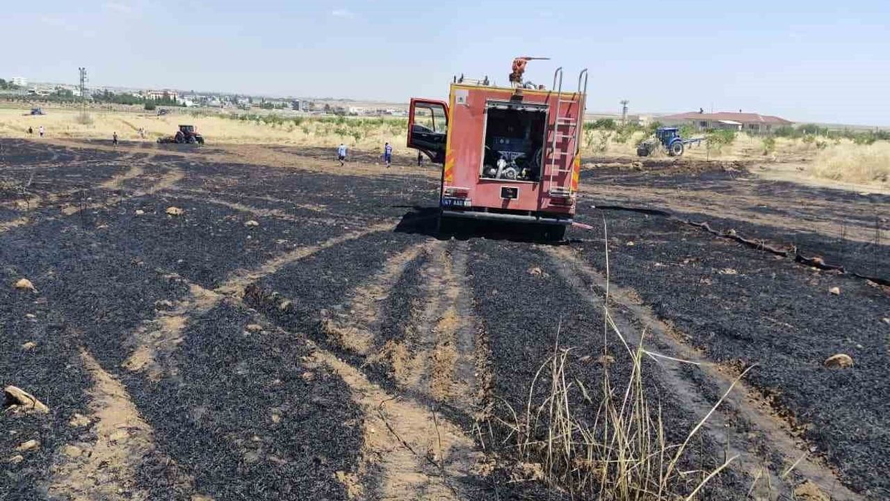 Mardin’de 40 dönüm buğday ekili alan yangında zarar gördü