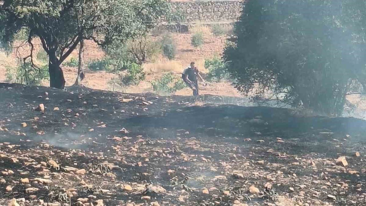 Mardin'de farklı noktalarda çıkan yangınlara müdahale sürüyor