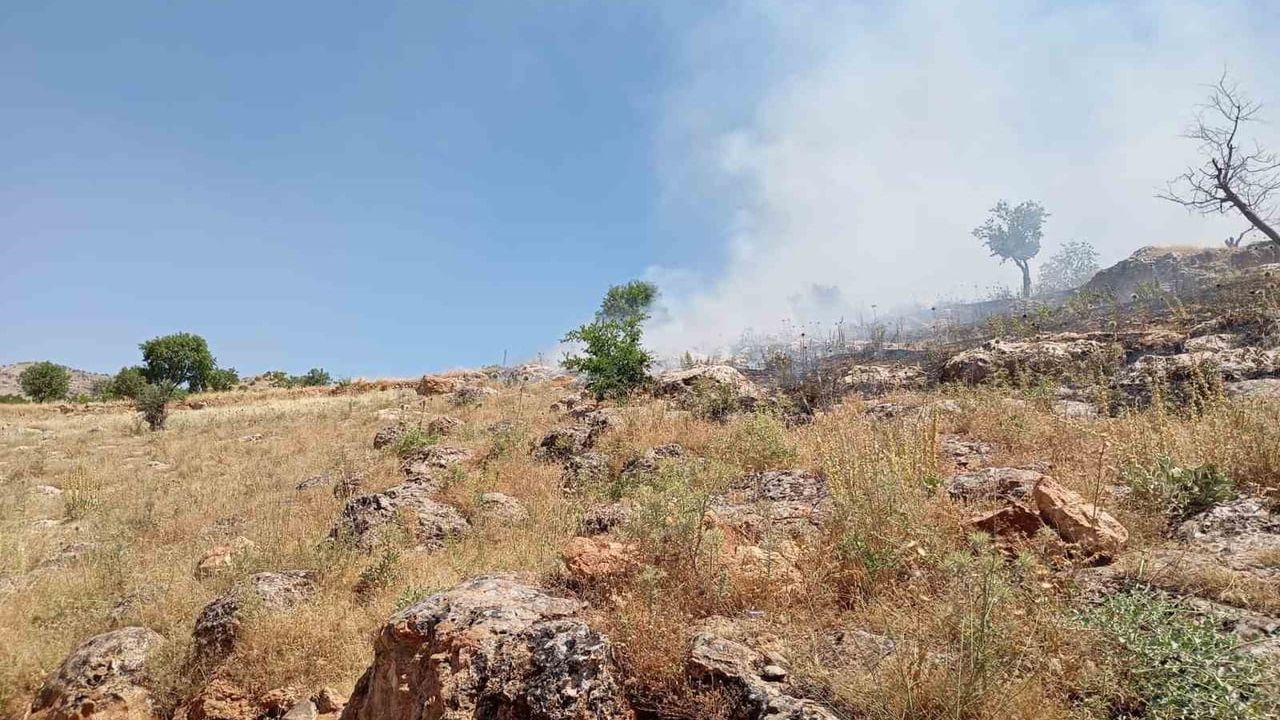 Mardin'de ormanlık alanda yangına müdahale ediliyor