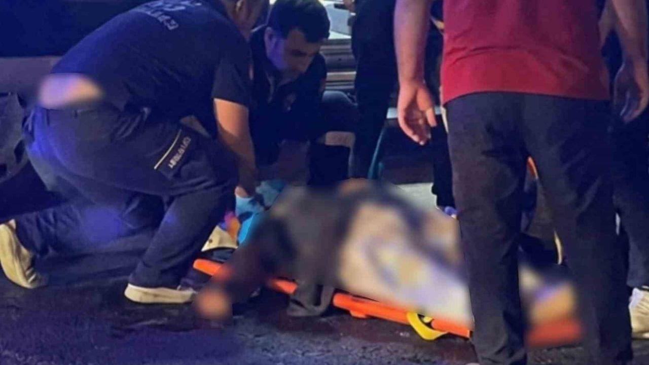 Mardin'de otomobilin çarptığı kadın hayatını kaybetti