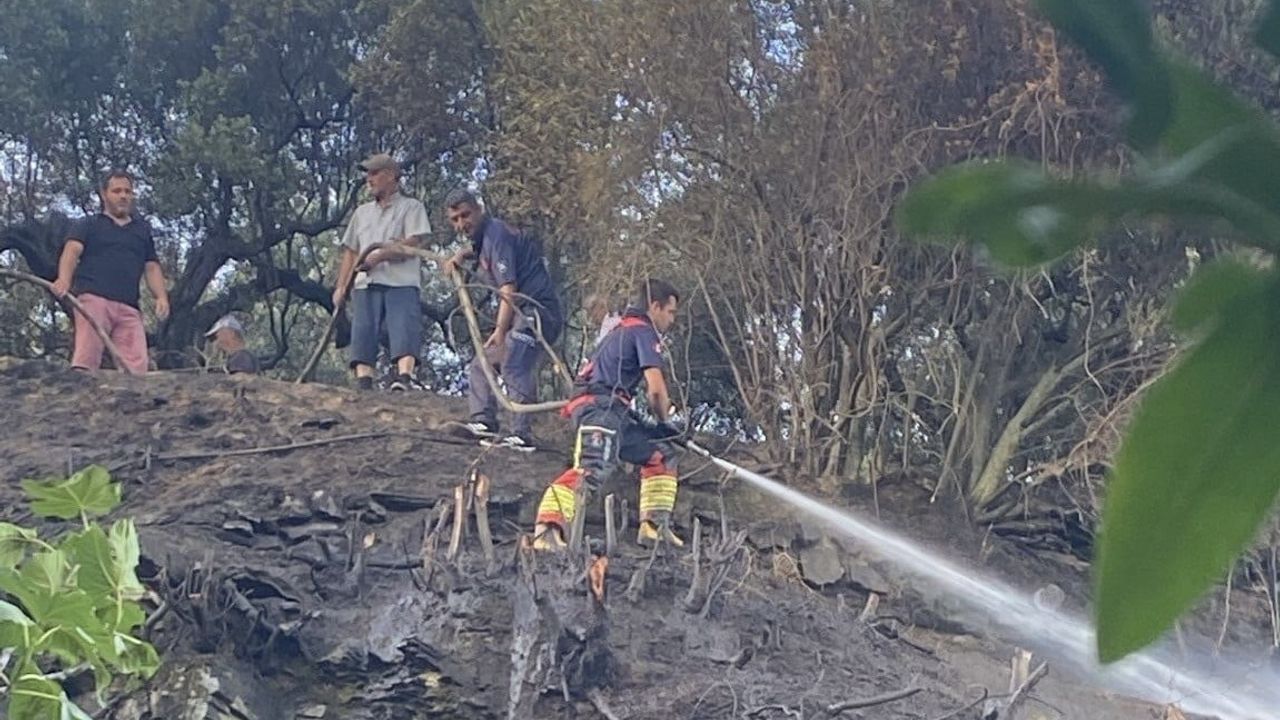 Marmara'da ot yangını ormana sıçramadan söndürüldü
