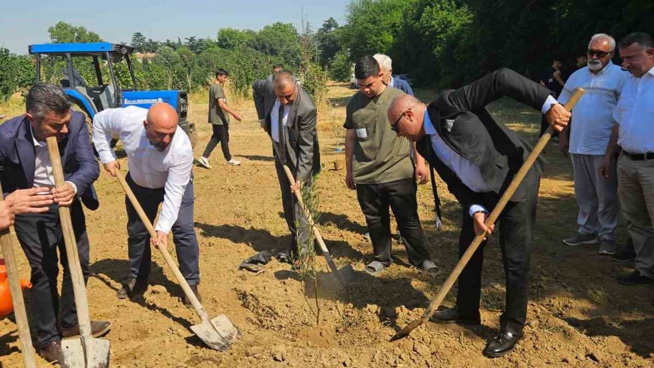 Marmarabirlik ile Bursa İl Millî Eğitim Müdürlüğü Hamidiye MTAL’e 1.160 zeytin fidanı kazandırdı