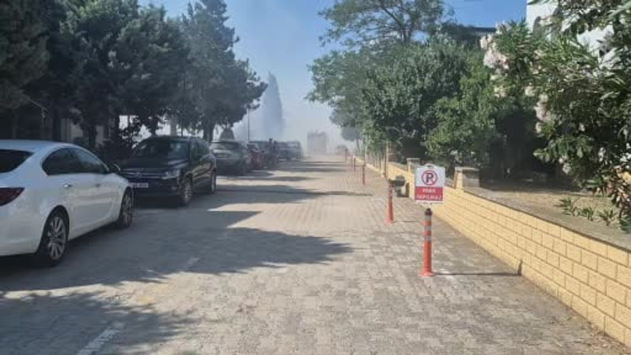 Marmaraereğlisi'nde tarla yangını sırasında hasat seferberliği