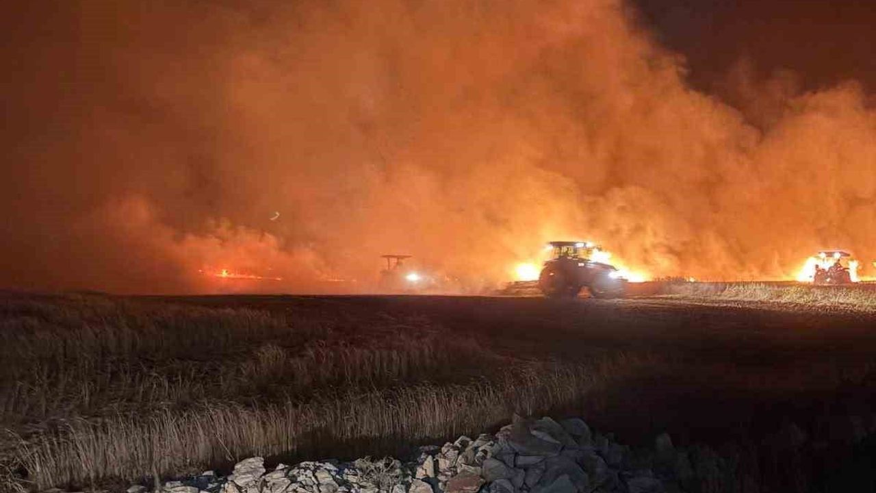 Mazıdağı'nda gece çıkan yangında ekili araziler zarar gördü