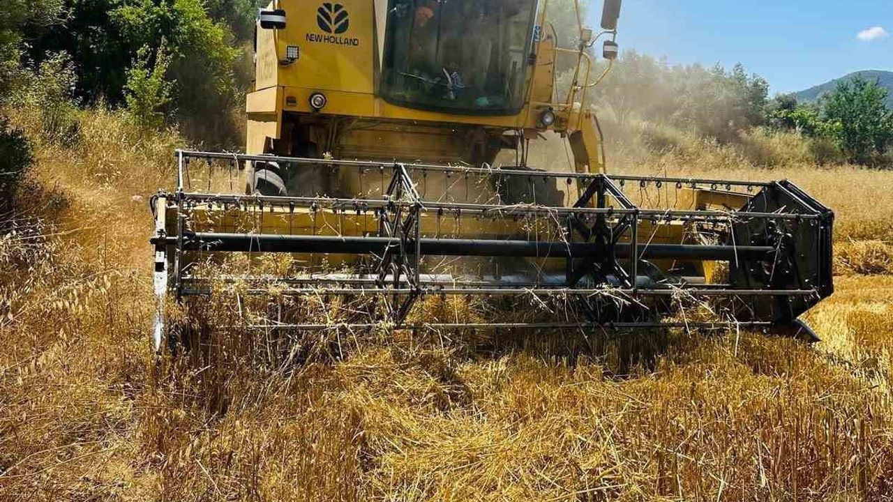 Menteşe’de biçerdöver denetimleri sıkılaştırıldı