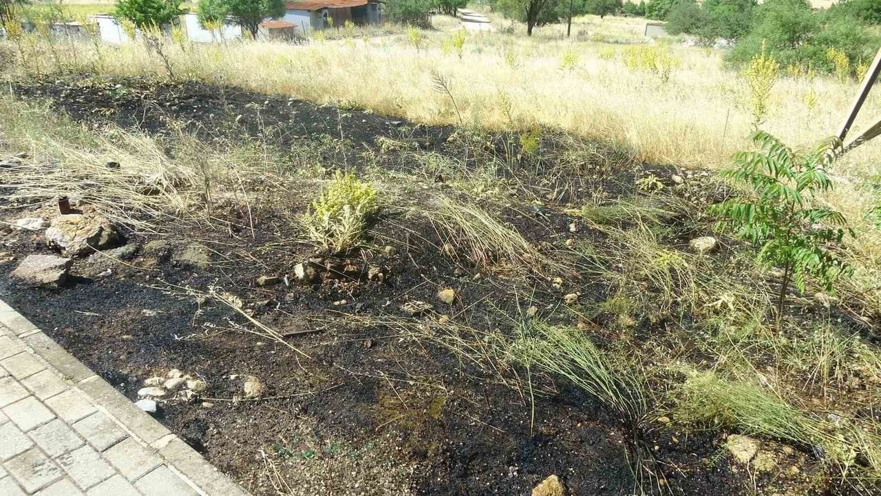 Menteşe'de yol kenarına atılan sigara izmariti yangın çıkardı