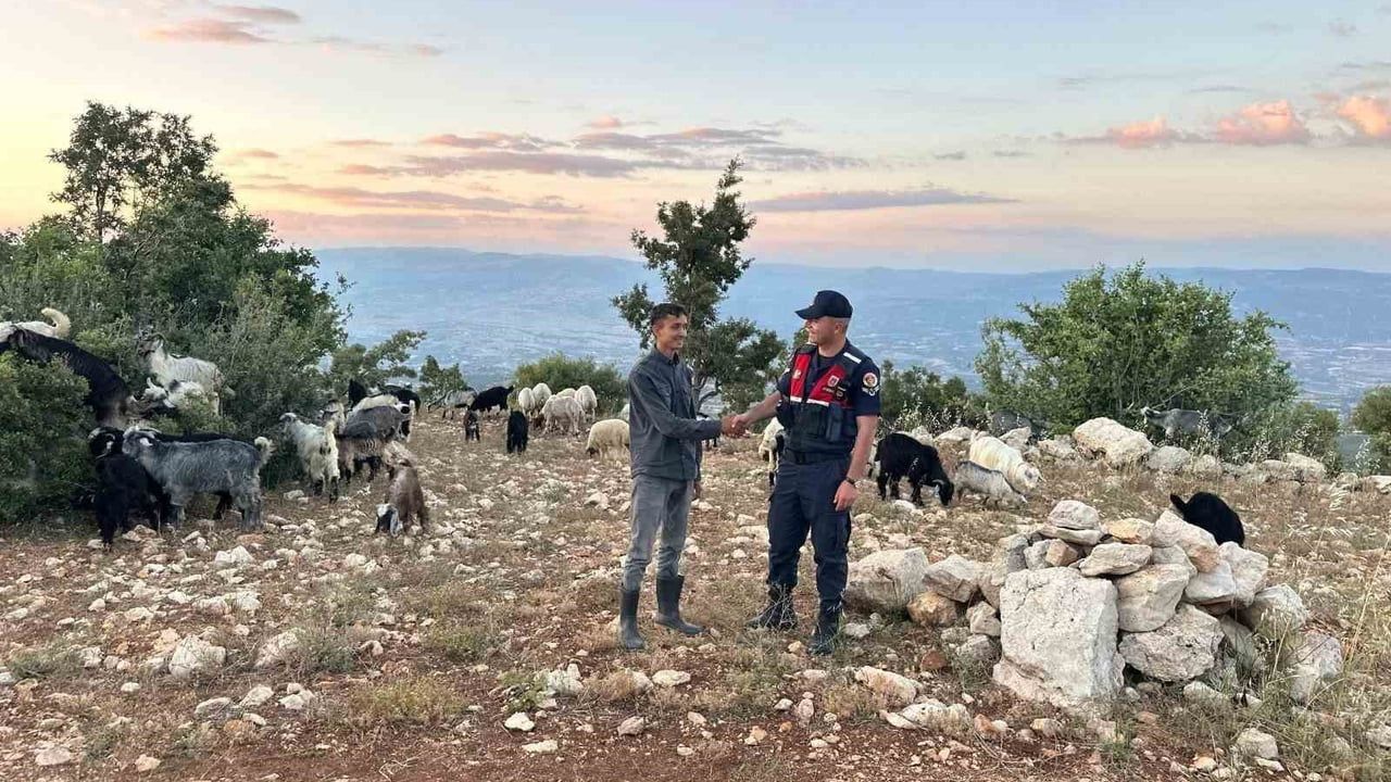 Mersin'de kayıp 40 küçükbaş dronla bulundu ve sahibine teslim edildi
