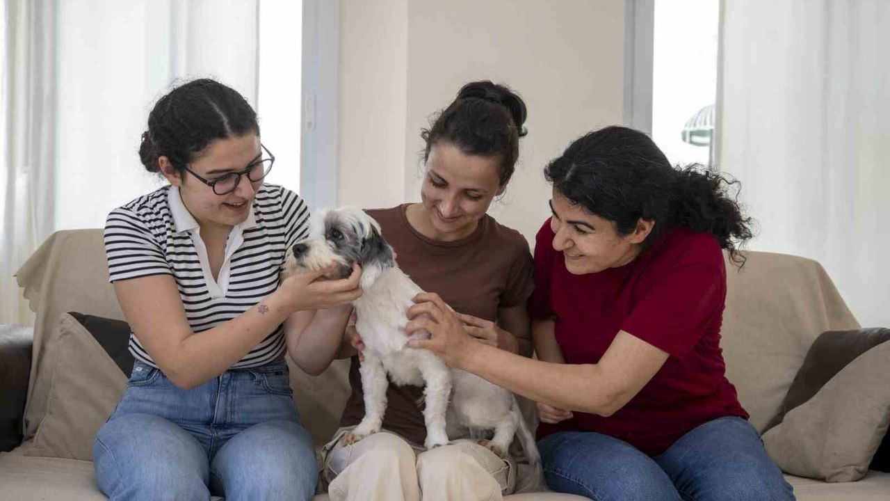 Mersin’de 'Yaşamı Sahiplen Destek Büyükşehirden' kampanyasıyla 1.927 köpek yeni yuvasına kavuştu