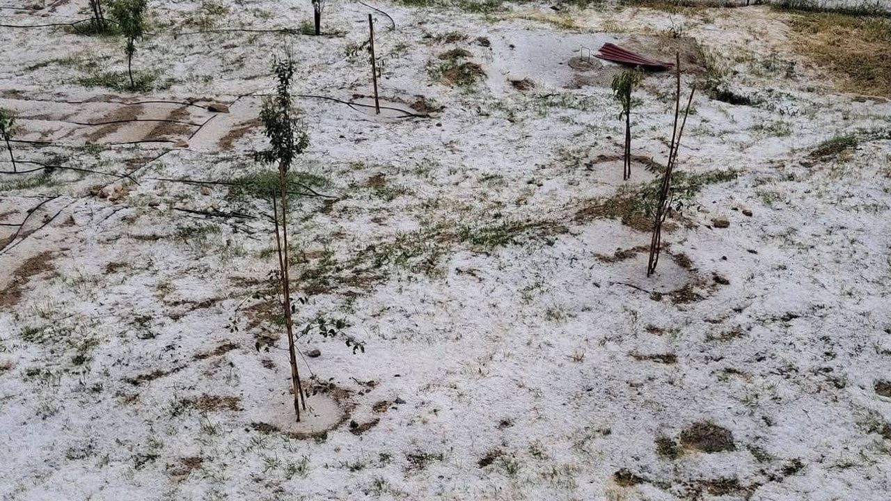 Mersin Erdemli'de dolu yüksek rakımlı mahallelerde tarıma zarar verdi