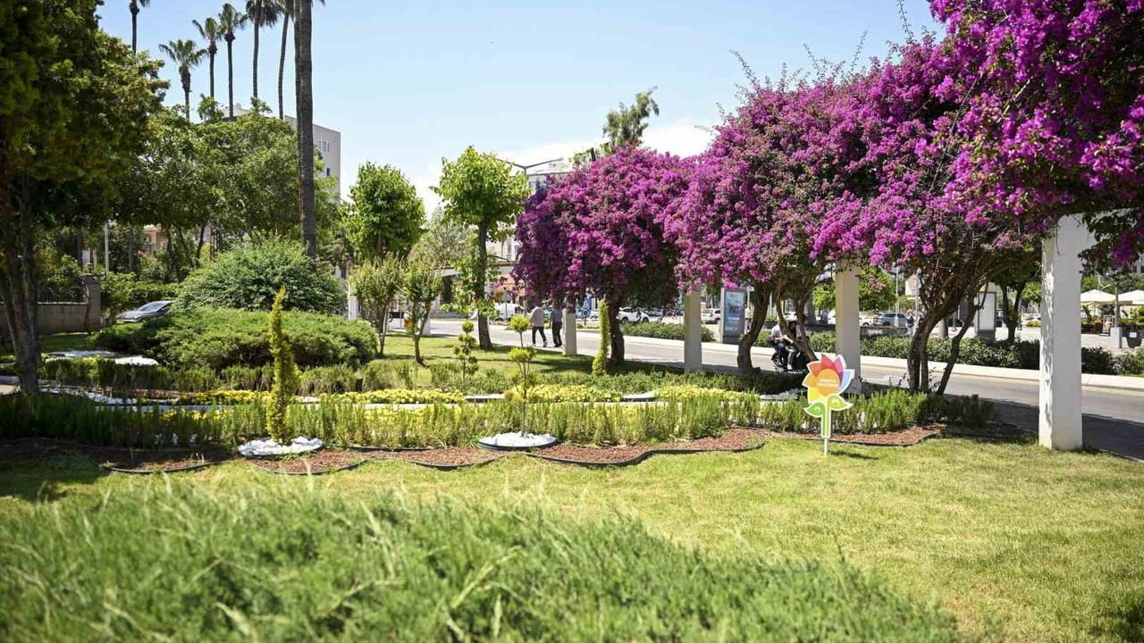 Mersin yaz çiçekleriyle renklendi: Büyükşehir'in peyzaj çalışmaları sürüyor