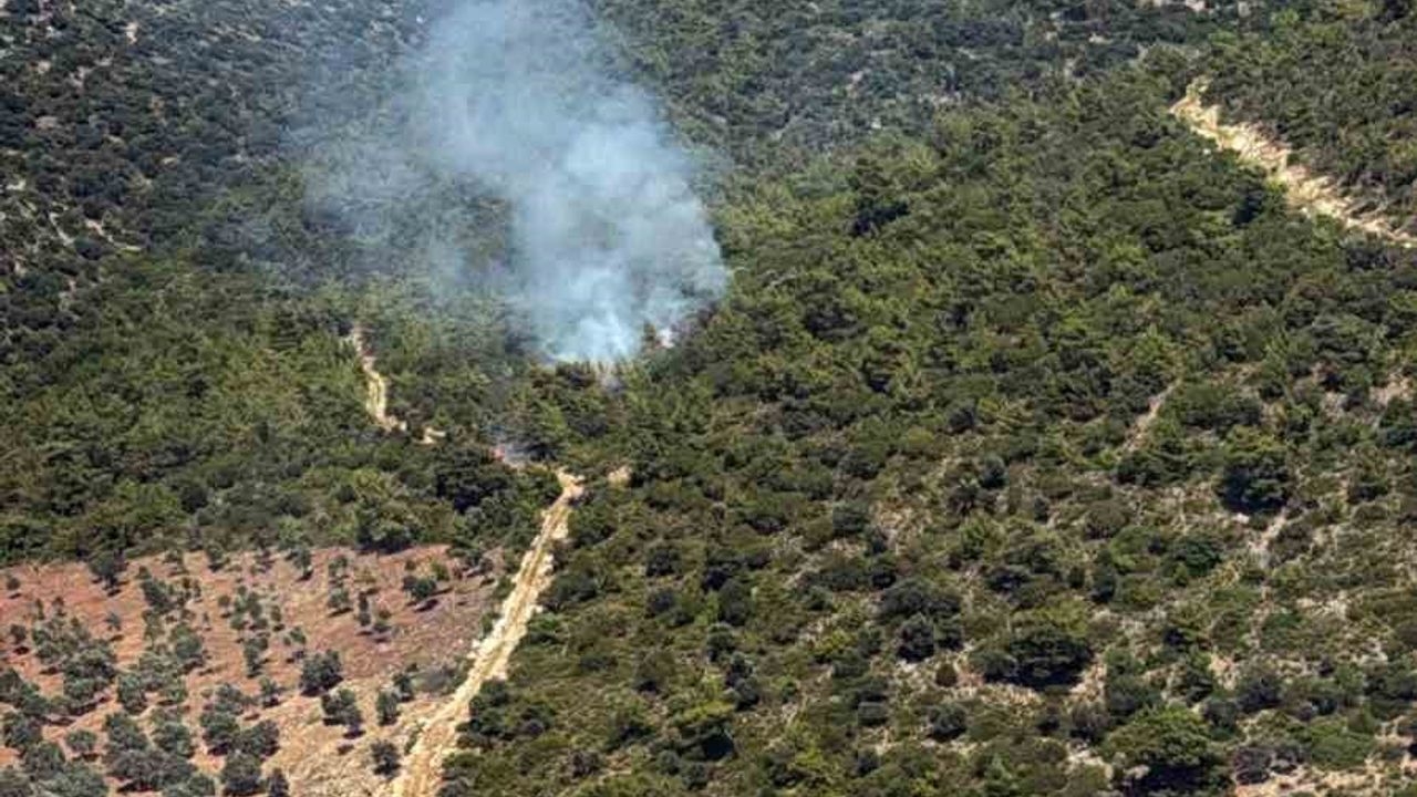 Milas Kazıklı Koyu'nda makilik alanda yangın