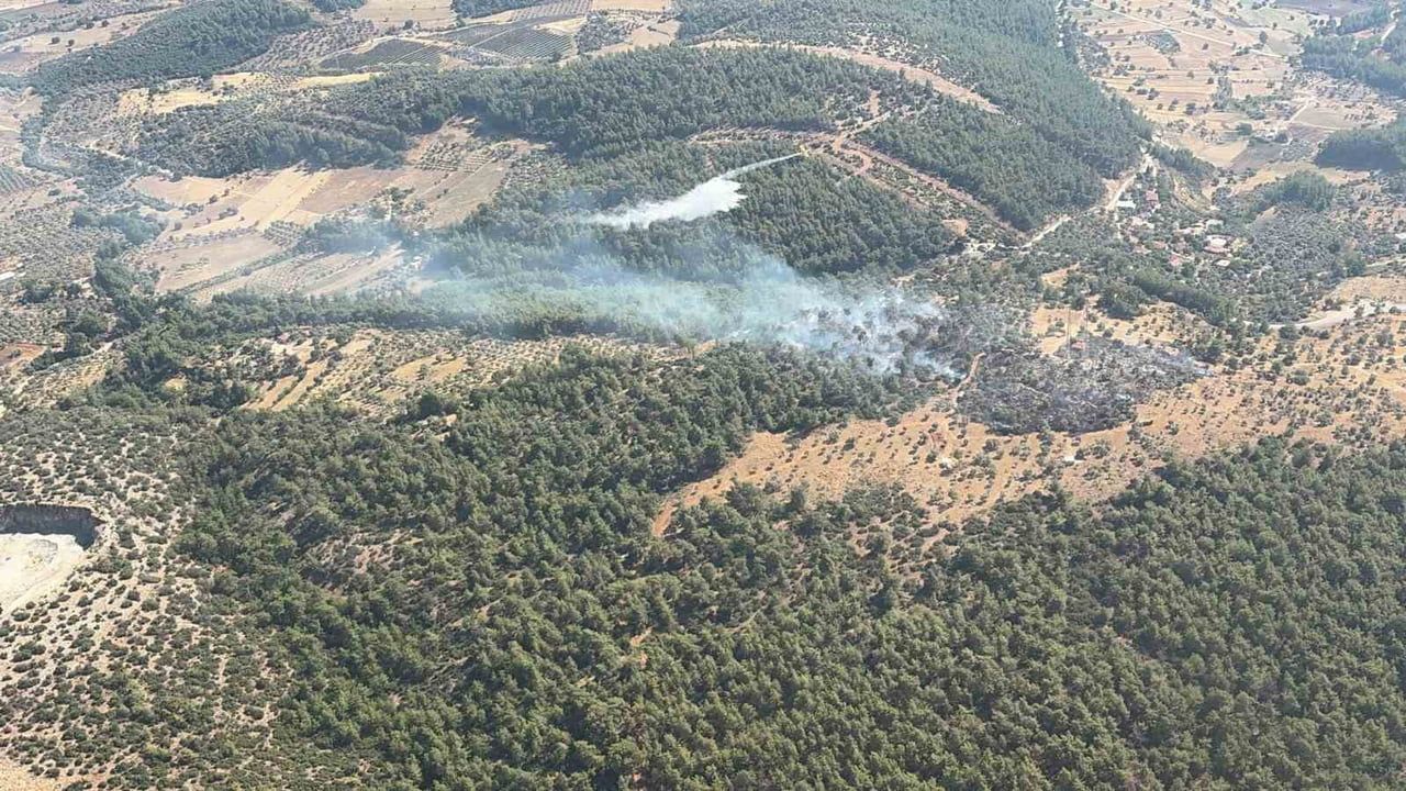 Milas’ta zirai yangın kısa sürede kontrol altına alındı