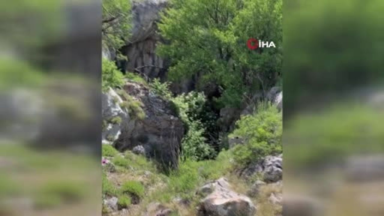 Mostar yakınlarında Velez Dağı eteklerinde 730'dan fazla II. Dünya Savaşı mühimmatı bulundu