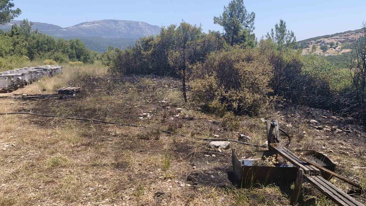 Muğla'da arı kovanları yakınındaki orman yangını ekiplerin müdahalesiyle söndürüldü