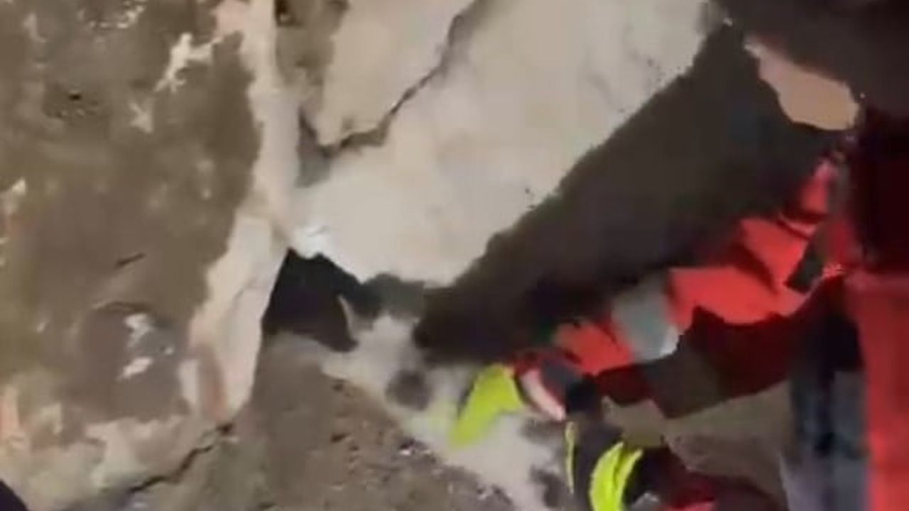 Muğla'da duvara sıkışan kediyi itfaiye ekipleri kurtardı